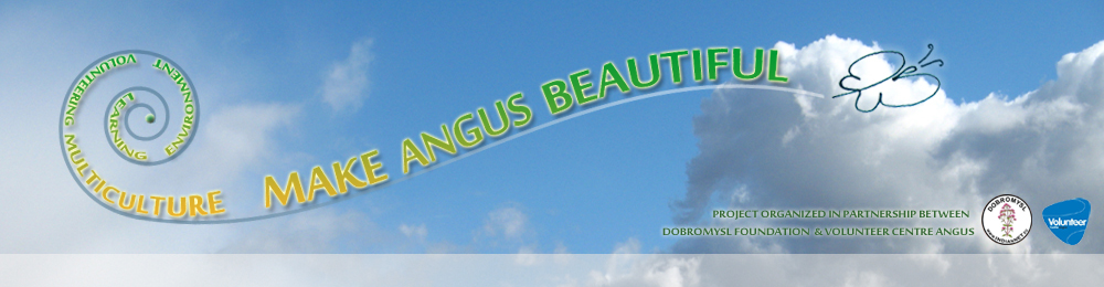  Make Angus Beautiful