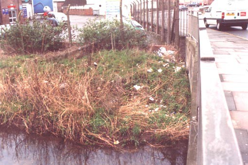 National Spring Clean 2009 - Arbroath