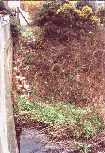 National Spring Clean 2009 - Arbroath