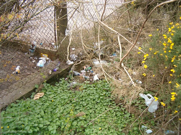 National Spring Clean