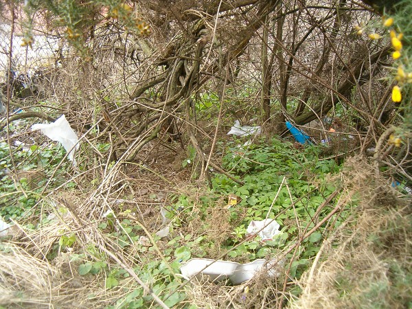 National Spring Clean