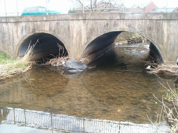 National Spring Clean