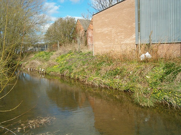 National Spring Clean