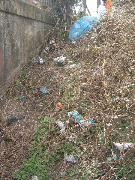 National Spring Clean