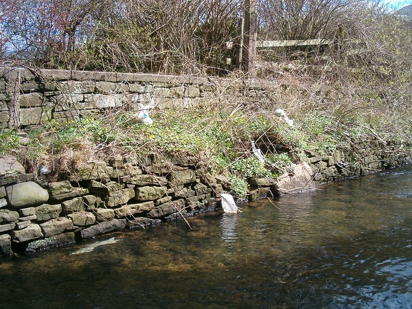 National Spring Clean