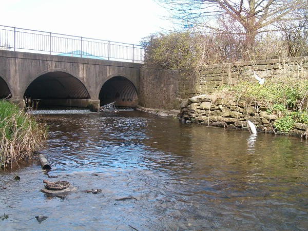 National Spring Clean