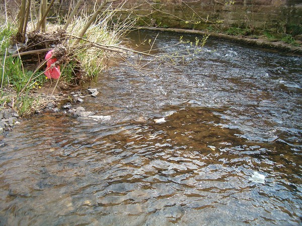 National Spring Clean