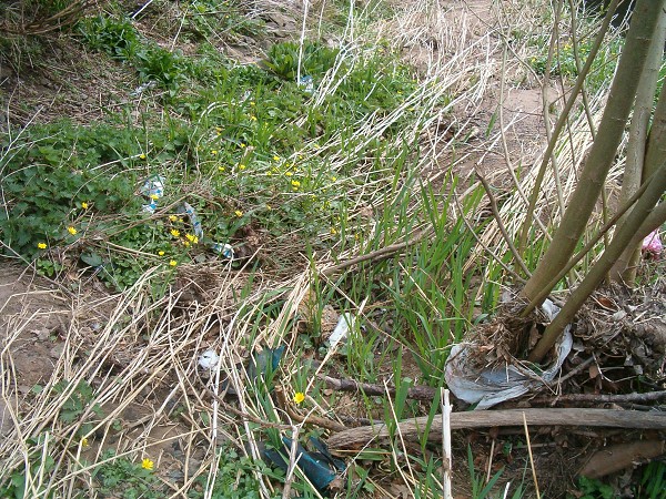 National Spring Clean