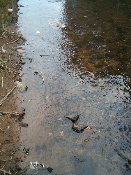 National Spring Clean