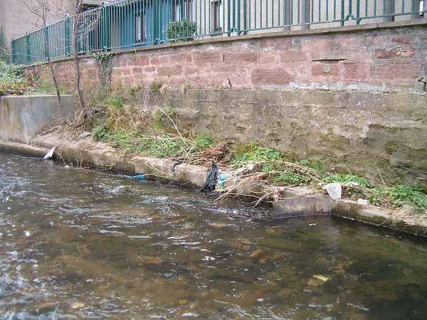 National Spring Clean