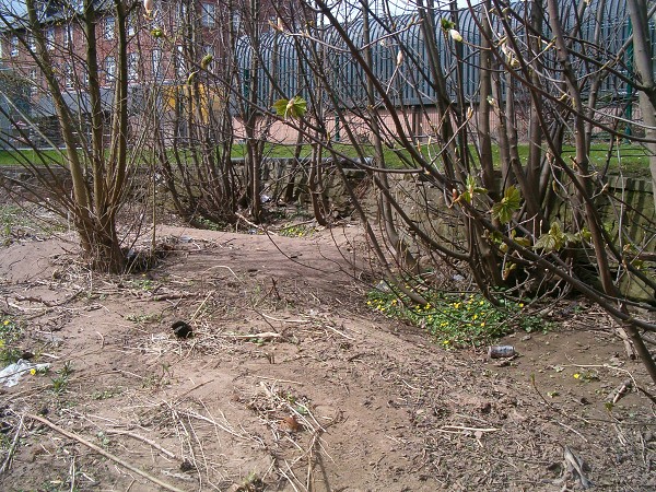 National Spring Clean