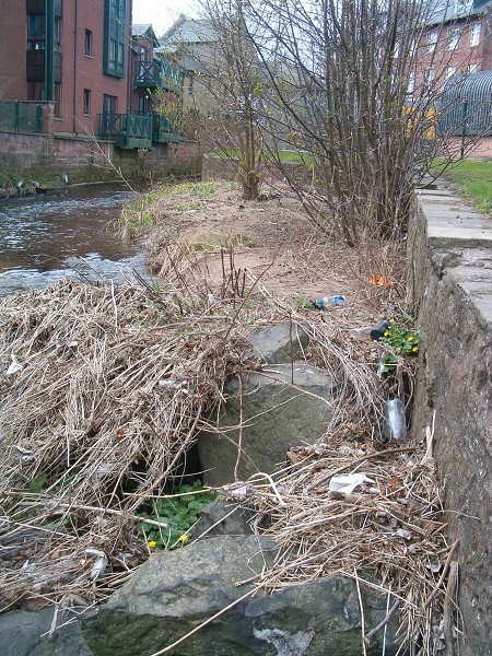 National Spring Clean