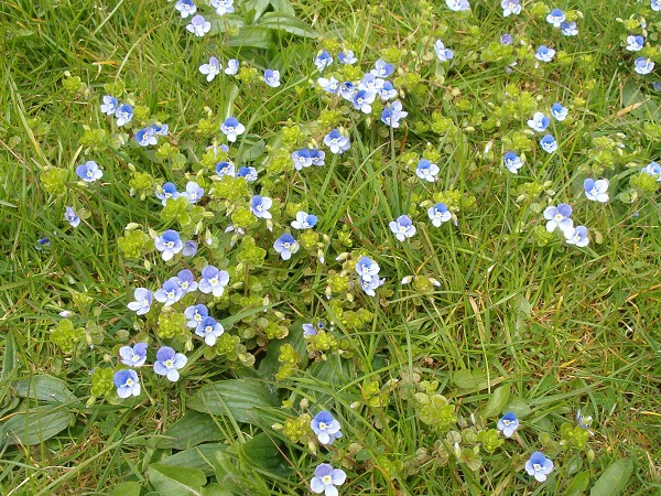 National Spring Clean