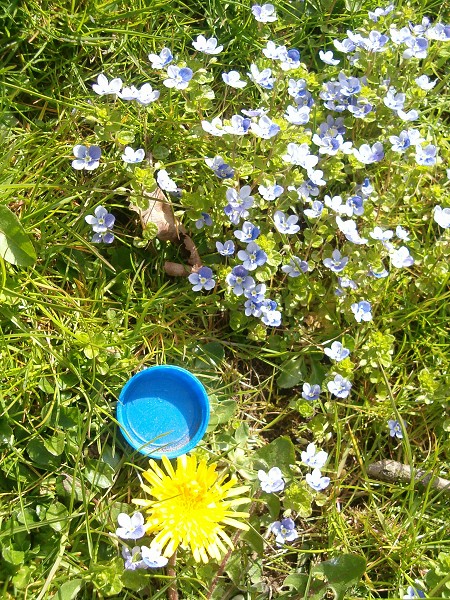 National Spring Clean