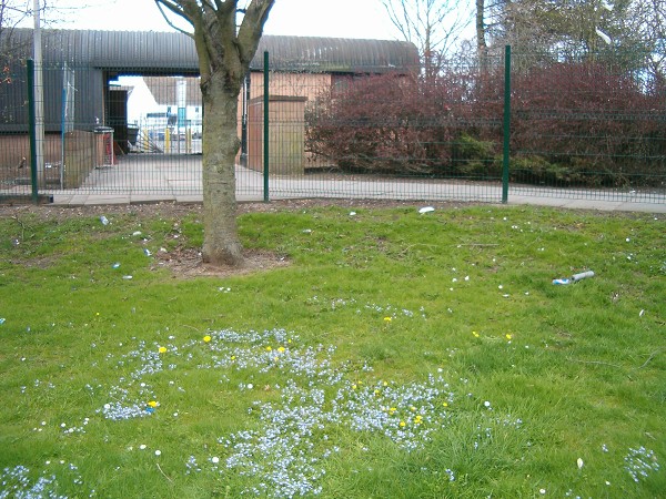 National Spring Clean