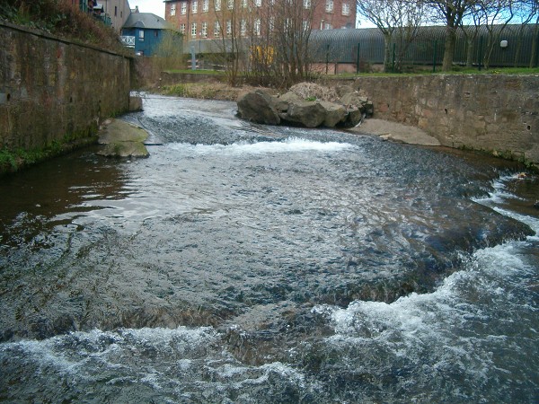 National Spring Clean