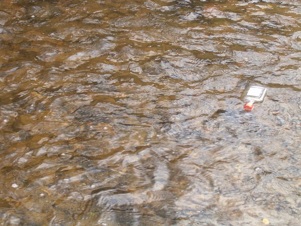 National Spring Clean