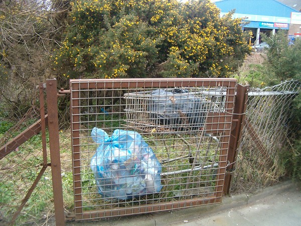 National Spring Clean