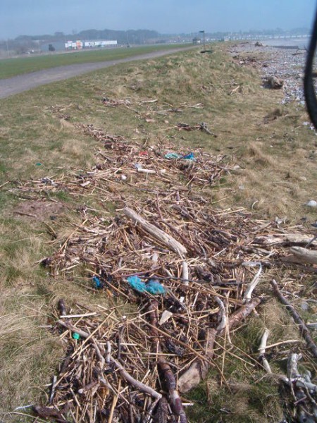 National Spring Clean 2010