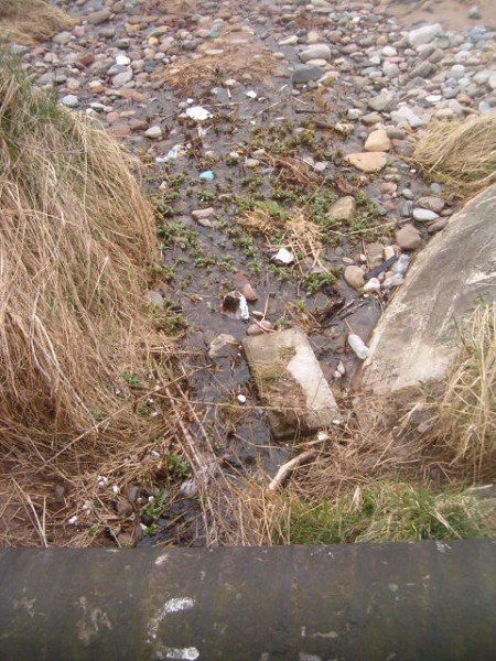 National Spring Clean 2010