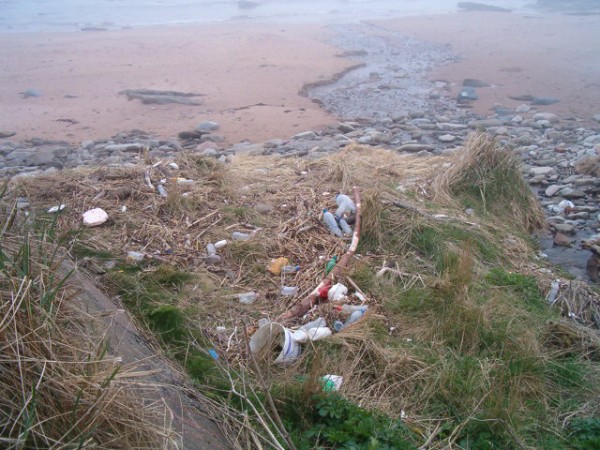 National Spring Clean 2010