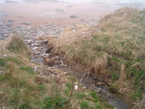 National Spring Clean 2010