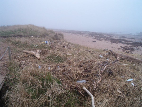 National Spring Clean 2010