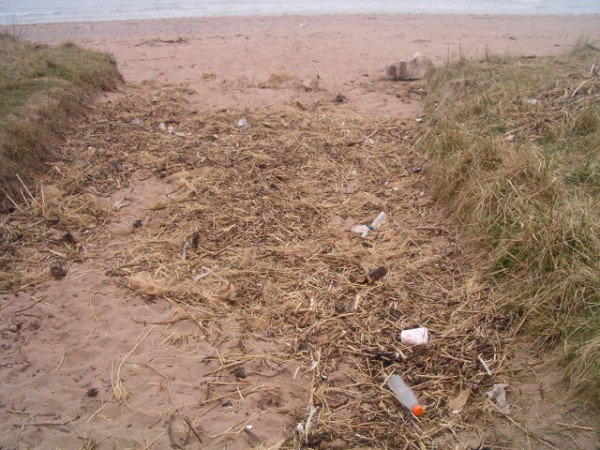 National Spring Clean 2010