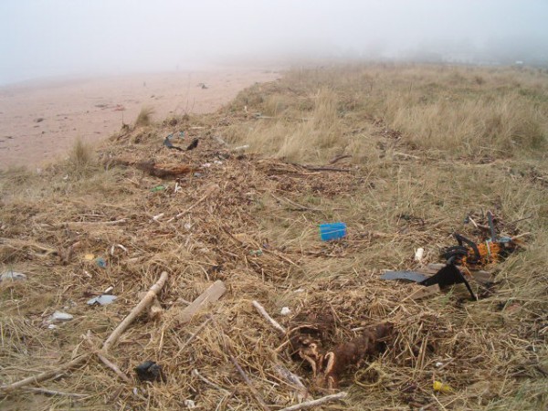 National Spring Clean 2010