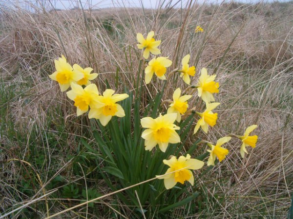 National Spring Clean 2010