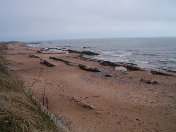 National Spring Clean 2010