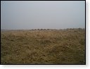 Natural Trail - Sea Coast 