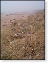 Natural Trail - Sea Coast 