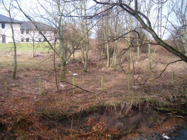 National Spring Clean