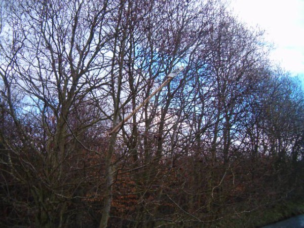 National Spring Clean