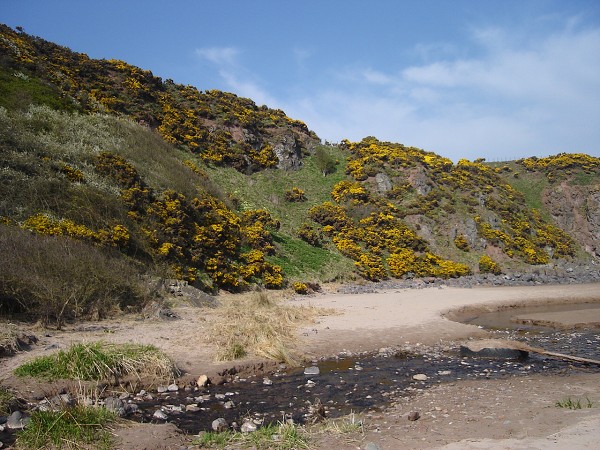 National Spring Clean 2010