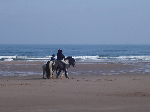 National Spring Clean 2010