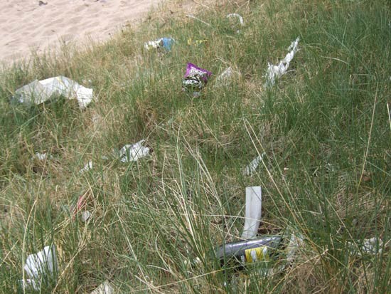 National Spring Clean 2009 