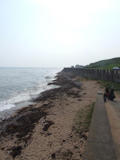 National Spring Clean 2009 