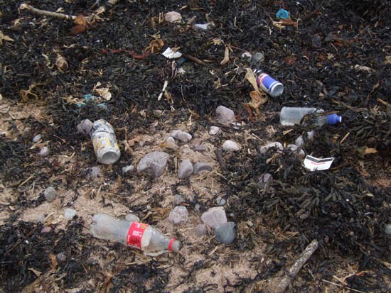 National Spring Clean 2009 