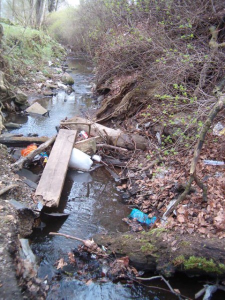 National Spring Clean 2010