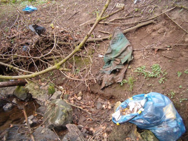 National Spring Clean 2010