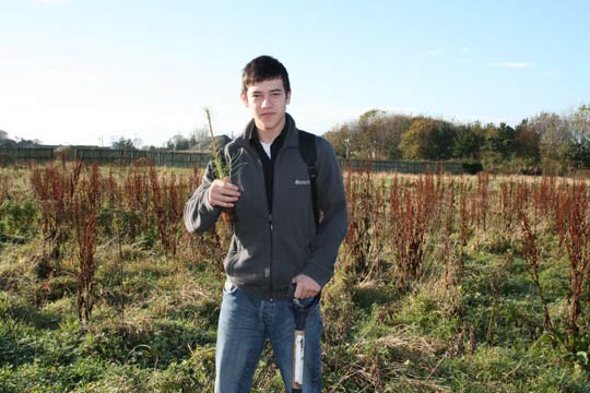 Plant Trees for the Peace 2009 