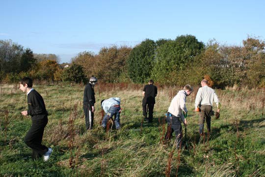 Plant Trees for the Peace 2009 