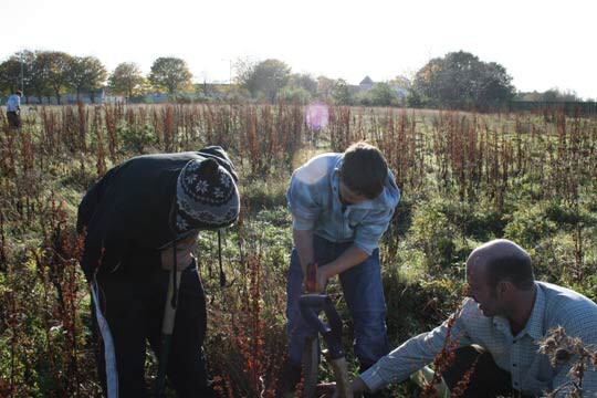 Plant Trees for the Peace 2009 
