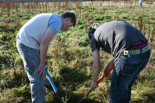 Plant Trees for the Peace 2009 