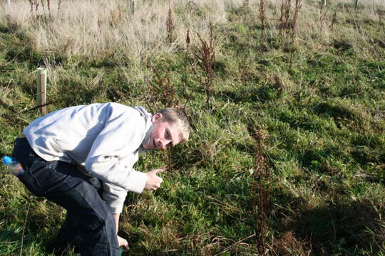 Plant Trees for the Peace 2009 