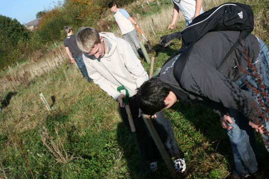 Plant Trees for the Peace 2009 