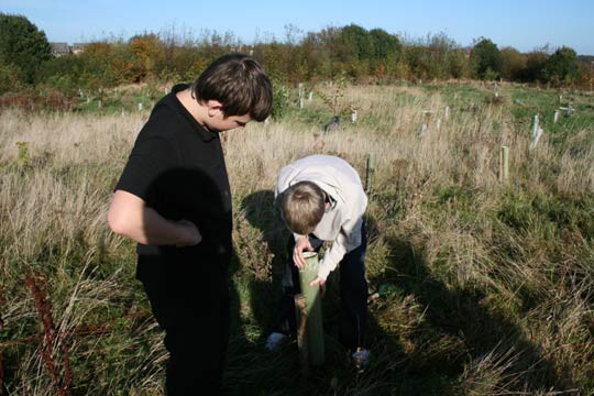 Plant Trees for the Peace 2009 