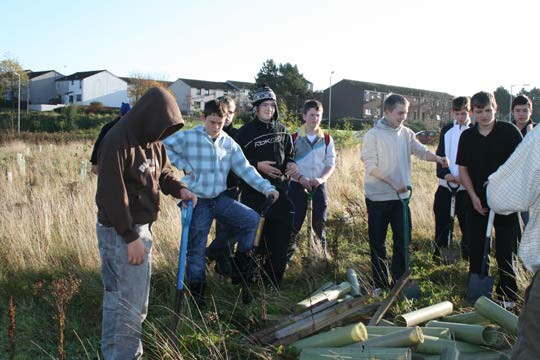 Plant Trees for the Peace 2009 